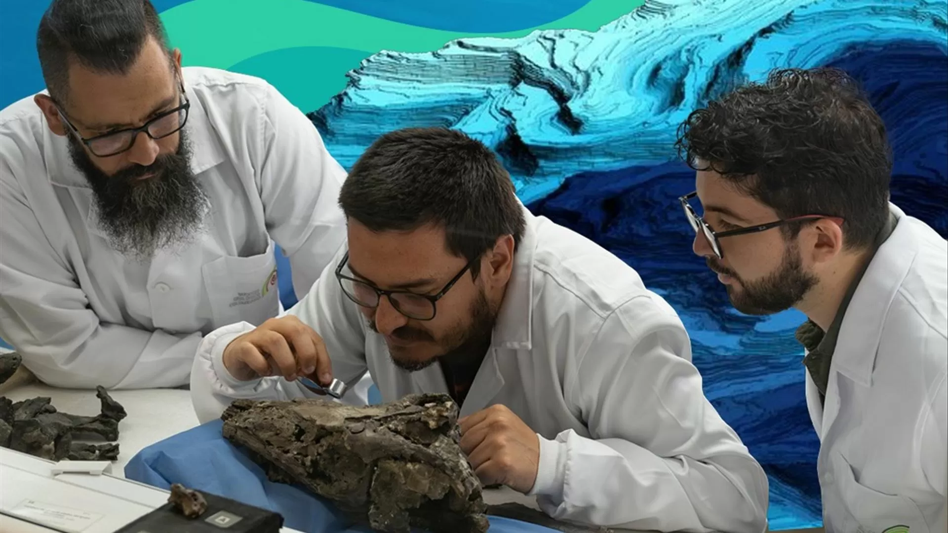 Descobertos fósseis de três répteis marinhos do período Cretácico na Colômbia