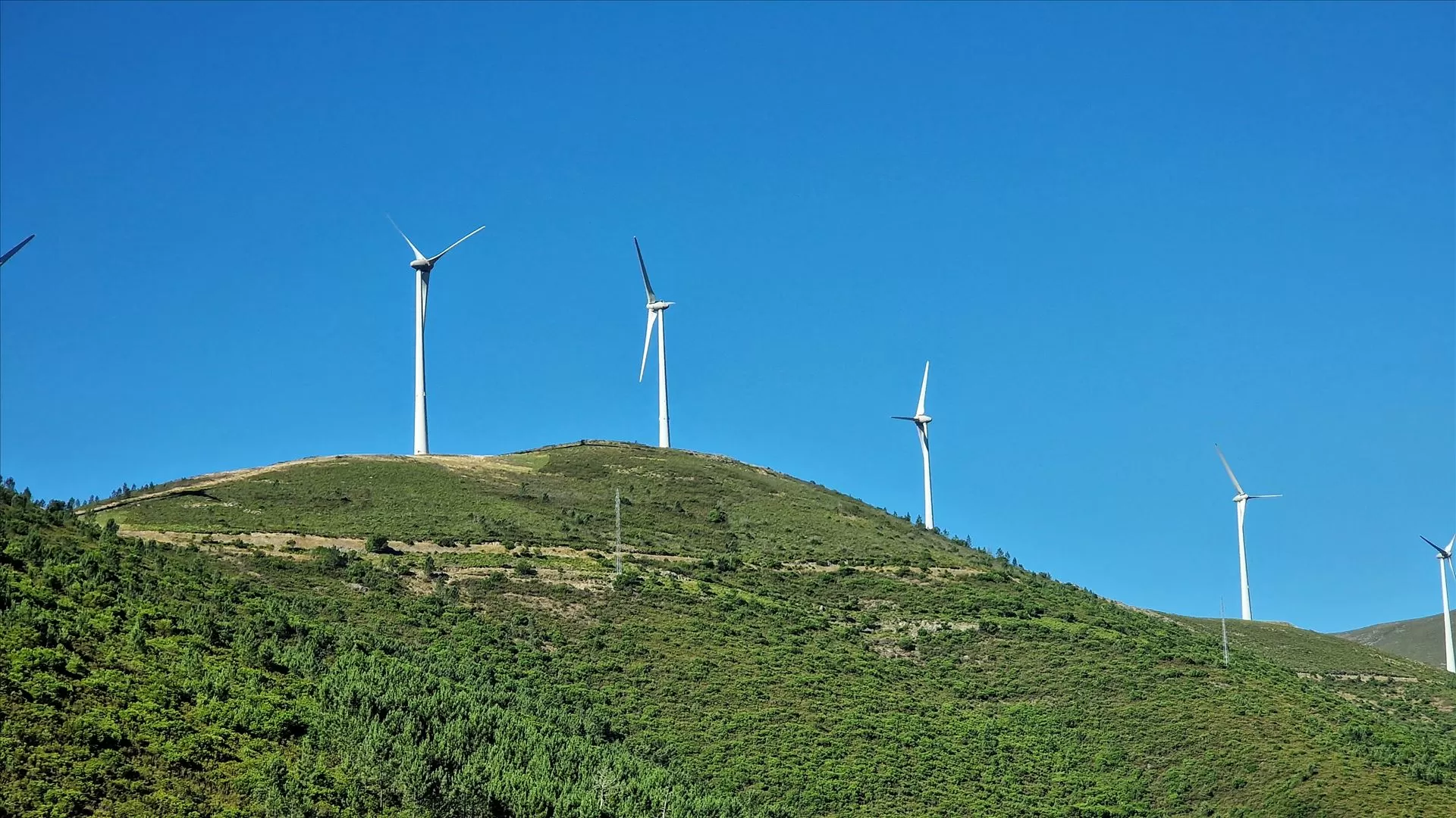 EDP Renováveis com lucros de 216 milhões de euros em 2025