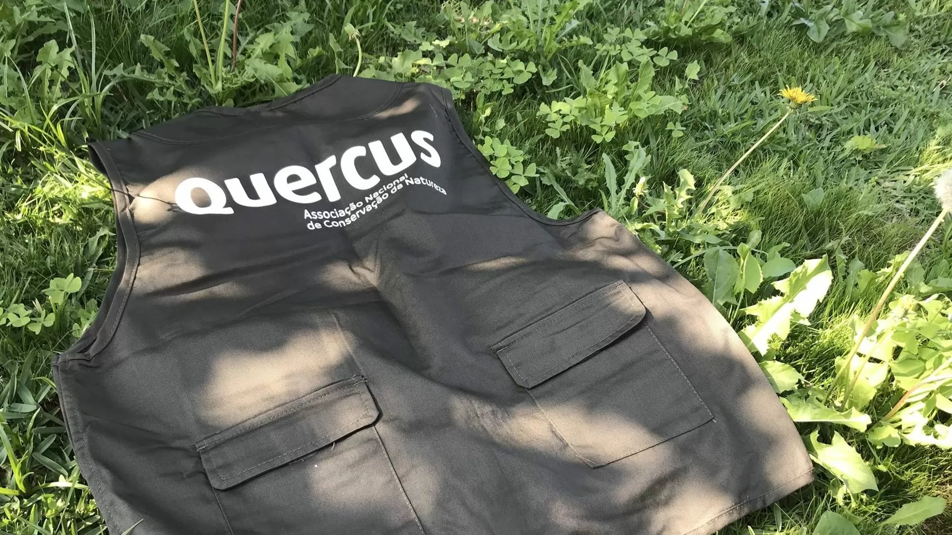 Associação Quercus pede lei que proíba toalhetes húmidos não biodegradáveis