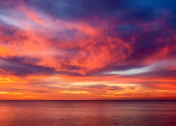 “O Futuro do Mercado Imobiliário na Costa del Sol: Entrevista Exclusiva com Olívia Christina Traven”