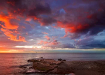 “O Futuro do Mercado Imobiliário na Costa del Sol”