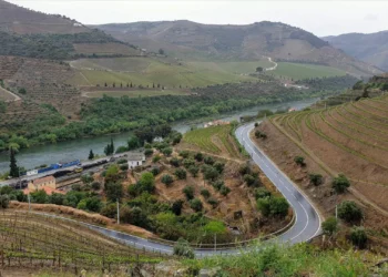 Movimento alerta que Governo vai deixar caducar 400 milhões de impostos das barragens