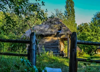 “Economia: Pilar do Desenvolvimento e Bem-Estar Social”