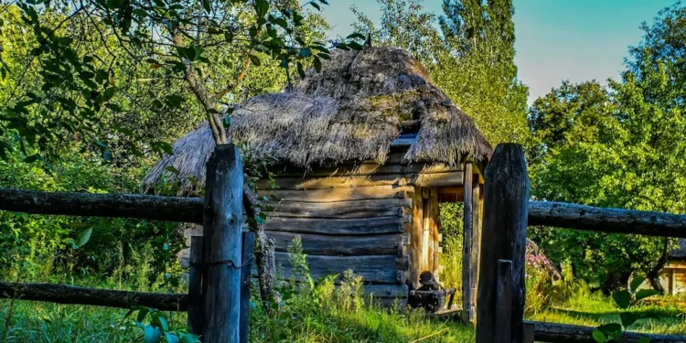 “Economia: Pilar do Desenvolvimento e Bem-Estar Social”