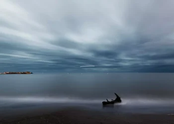 “O Futuro do Mercado Imobiliário na Costa del Sol”