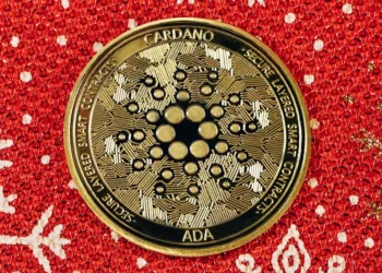 “Importância das Finanças na Gestão Empresarial”