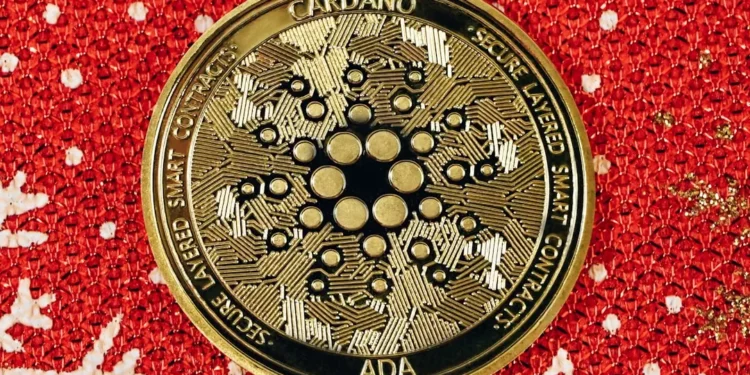 “Importância das Finanças na Gestão Empresarial”