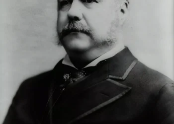 “Desmistificando a Política: A Essência Além dos Escândalos”