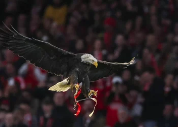 Sócios do Benfica votam alteração dos Estatutos a 8 de março