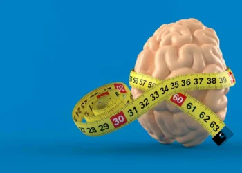 Tamanho é documento? Entenda por que um cérebro grande não é sinônimo de inteligência