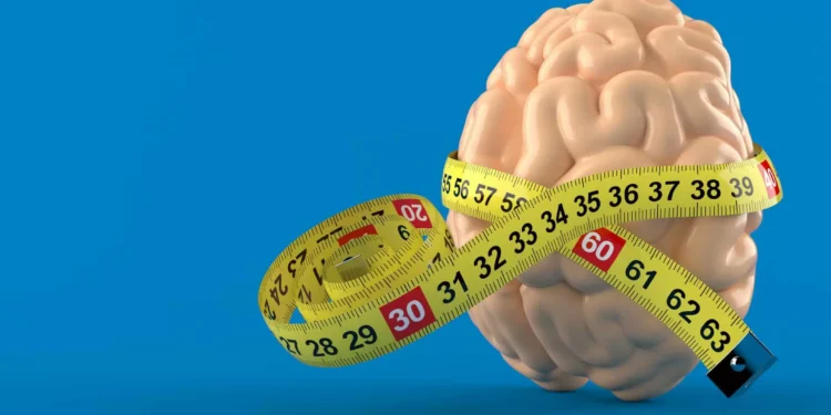 Tamanho é documento? Entenda por que um cérebro grande não é sinônimo de inteligência