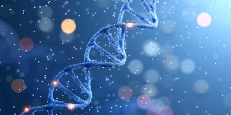 Traumas por violência geram impacto genético, diz estudo