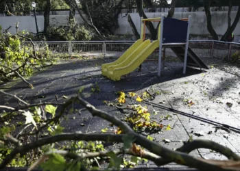 Tempestade Laurence provoca 62 ocorrências nos Açores