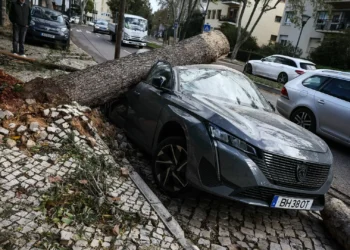 Mau tempo. Portugal continental com 858 ocorrências até às 18h00