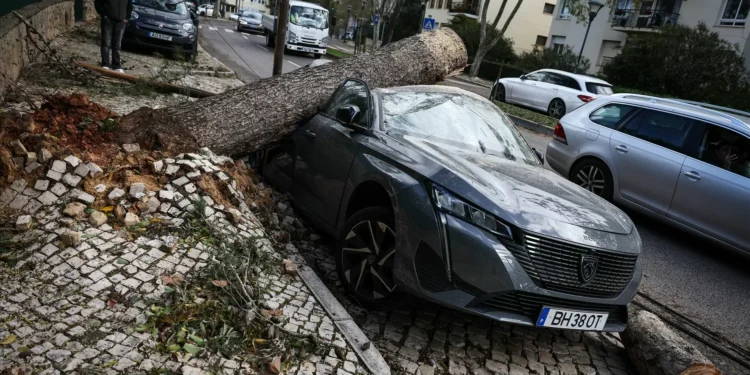 Mau tempo. Portugal continental com 858 ocorrências até às 18h00