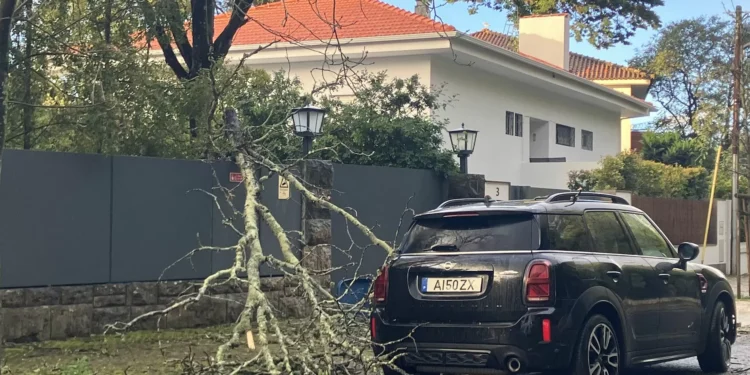 Depressão Martinho. Seguradoras registaram 28 milhões de euros em danos