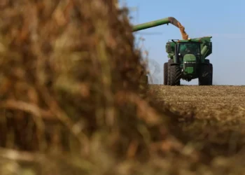 Fiagros rendem até 52% em 2025; vale a pena investir agora? 