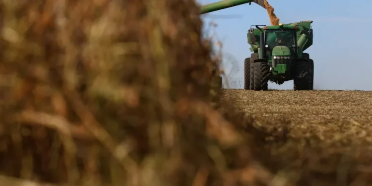 Fiagros rendem até 52% em 2025; vale a pena investir agora? 