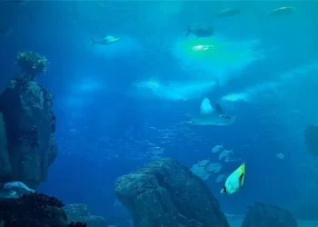 Desenvolvida boia que dessaliniza água do oceano apenas com a energia das ondas