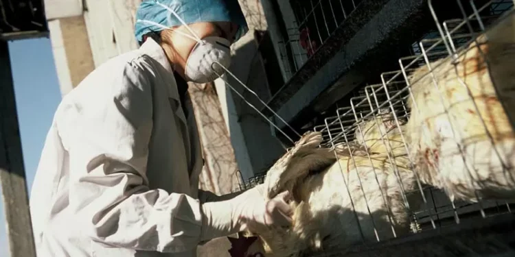 País está polarizado, mas todos têm filhos, diz Jonathan Haidt à CNN