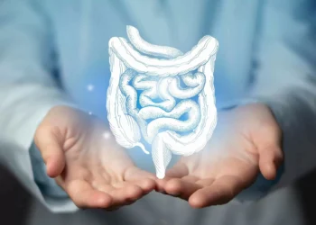 Transplante fecal: o que é e para que serve?