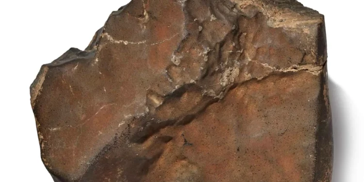 Maior meteorito de Marte já encontrado é leiloado; veja o preço