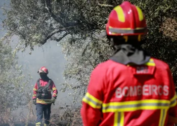 Fogo consumiu mil hectares em Aljustrel