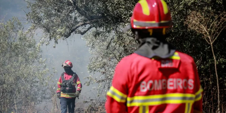 Fogo consumiu mil hectares em Aljustrel
