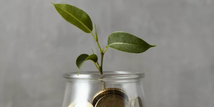 FII MXRF11 anuncia dividendos com yield de 11,97%; veja valor pago em julho