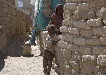 Fome diminuiu no mundo, mas aumentou em África e no Médio Oriente