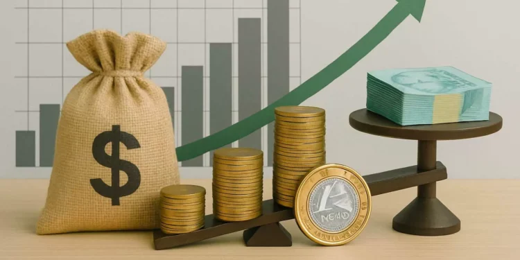 Renda fixa hoje: CDBs pagam até IPCA+ 10,07%; veja outras taxas nesta terça na XP