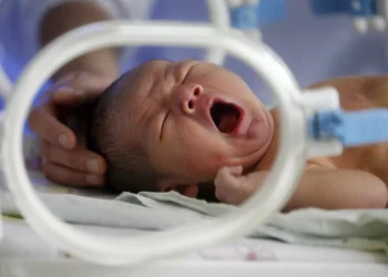 Nascimentos aumentaram em Portugal no primeiro semestre do ano