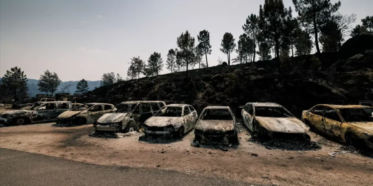 Incêndios: Governo diz que está “no terreno” para levantar prejuízos e apoiar população