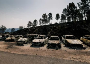 Incêndios: Governo diz que está “no terreno” para levantar prejuízos e apoiar população