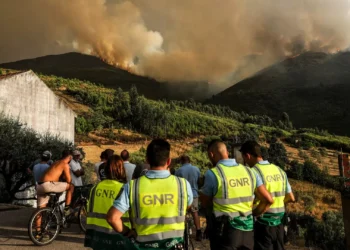 Incêndios: Seia deslocou 55 pessoas para Casa do Povo de Vide