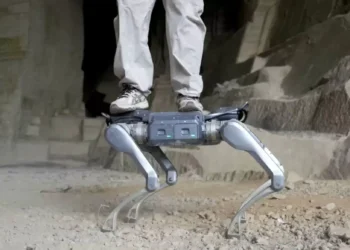 Novo cão-robô é tão resistente que aguenta o peso de uma pessoa adulta