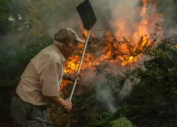 Guarda com frente ativa e também em alerta com fogo vindo do Sabugal