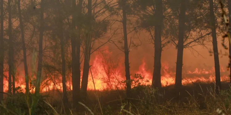 Incêndios: Ambientalista alerta para perigos da poluição