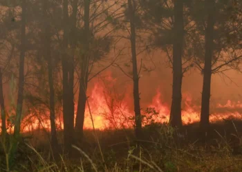 Incêndios: Ambientalista alerta para perigos da poluição