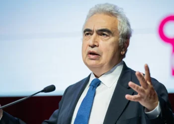 Agência Internacional destaca “excelente trabalho” de Portugal na transição energética