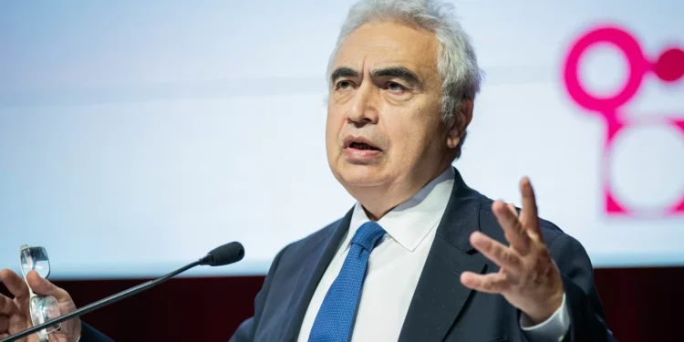 Agência Internacional destaca “excelente trabalho” de Portugal na transição energética