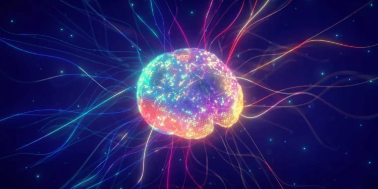 Maior mapa já feito da atividade cerebral carrega surpresas