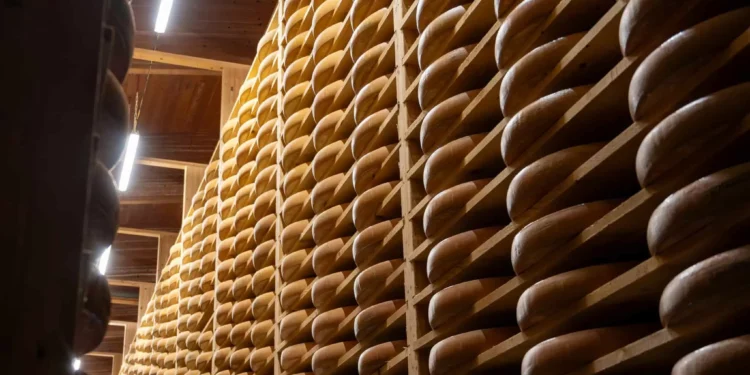 Por que os EUA guardam mais de 600 milhões de quilos de queijo em cavernas?