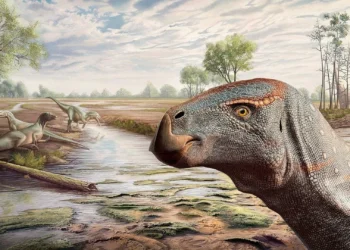 ​Descoberto em Portugal um novo dinossauro. Foi batizado com nome de Bocage