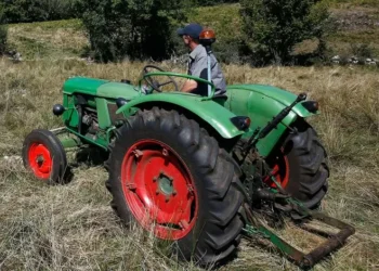 Governo já apoiou em 3,7 ME agricultores afetados pelos incêndios de verão