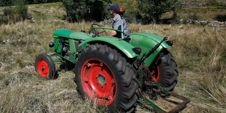 Governo já apoiou em 3,7 ME agricultores afetados pelos incêndios de verão