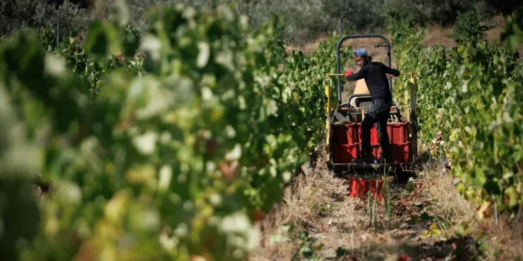 Onde trabalham, vivem e nascem os imigrantes em Portugal?