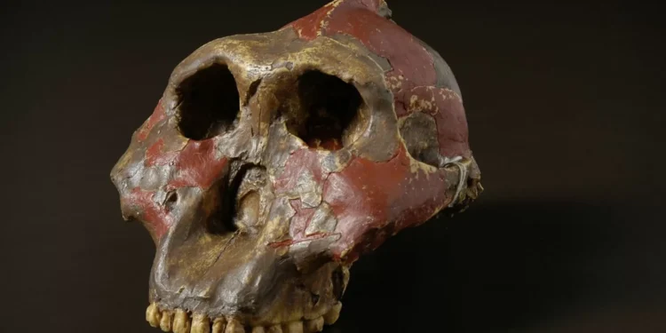 Novos fósseis revelam mãos e capacidades dos primeiros hominídeos