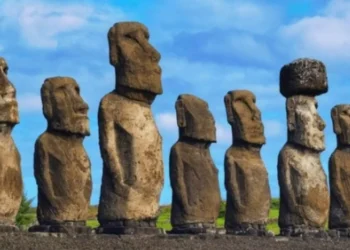 A descoberta acidental na Ilha de Páscoa que está revolucionando a medicina