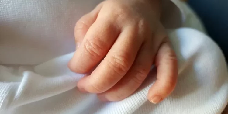 Há mais bebés a nascer em Portugal: natalidade já ultrapassa números de 2023